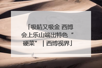 吸睛又吸金 西博会上乐山端出特色“硬菜”｜西博视界